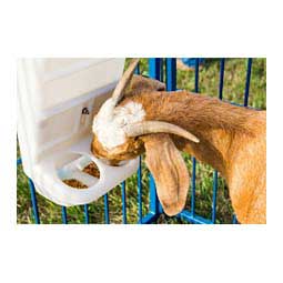 Poly Sheep and Goat Mineral Feeder Item # 35665