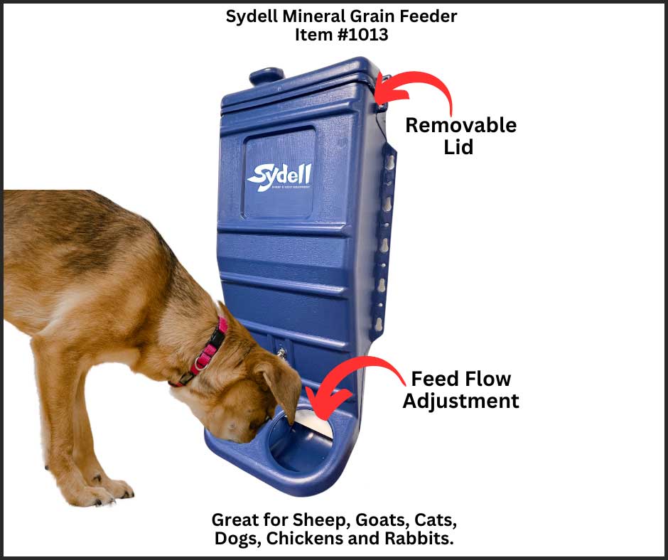 Valley Vet Poly Sheep and Goat Mineral Feeder Sydell Equipment