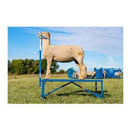 Steel Fold-up Fitting Stand Item # 35671