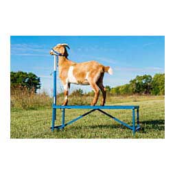 Steel Fold-up Fitting Stand Item # 35671