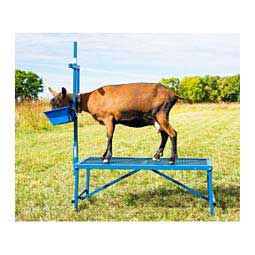 Folding Goat Stanchion w/Feed Pail Item # 35672