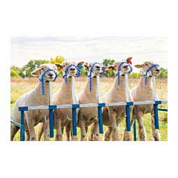 5-Head Goat and Lamb Show Rail Item # 35740