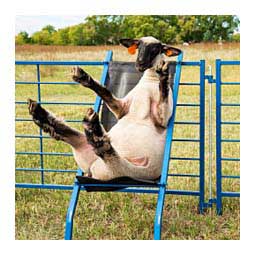Heavy Duty Sheep Chair Item # 35804
