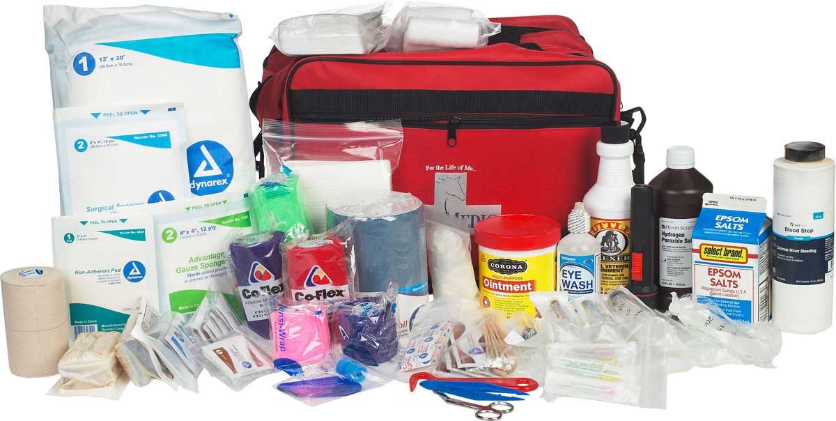 equine travel first aid kit