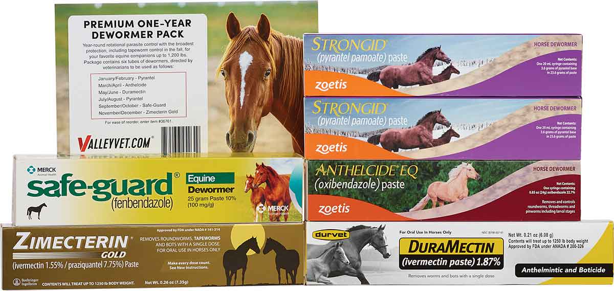 Premium One-Year Paste Horse Wormer Pack Valley Vet Supply - Pyrantel