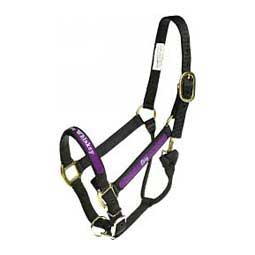 Personalized Horse Halter Item # 36963