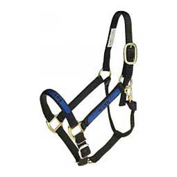 Personalized Horse Halter Item # 36963