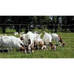 ElectroStop Plus Electric Netting Double Spike for Sheep & Goats Item # 37097