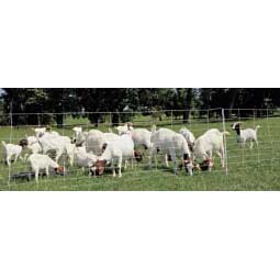 ElectroStop Plus Electric Netting Double Spike for Sheep & Goats Item # 37097