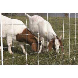 ElectroStop Plus Electric Netting Double Spike for Sheep & Goats Item # 37097