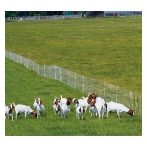 ElectroStop Plus Electric Netting Double Spike for Sheep & Goats Item # 37097