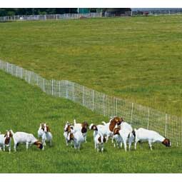 ElectroStop Plus Electric Netting Double Spike for Sheep & Goats Item # 37098