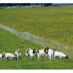 ElectroStop Plus Electric Netting Double Spike for Sheep & Goats Premier Sheep Supplies