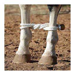 Rope Hobble Item # 37278