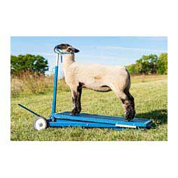 Sydell Hydraulic Sheep Stand #780 Item # 37548