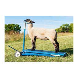 Sydell Hydraulic Sheep Stand No. 780 Item # 37548