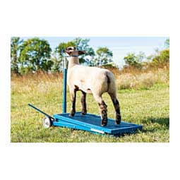 Sydell Hydraulic Sheep Stand No. 780 Item # 37548