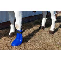 Davis Sheep and Goat Boot Item # 37624