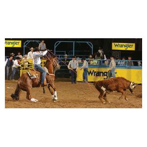 Heat Team Head Rope Item # 37861