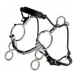 Combination 89 31 3 Ring Horse Bit