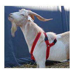 Matingmark Deluxe Harness for Goats and Sheep  Rurtec