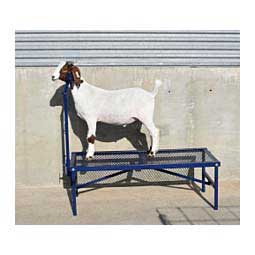Steel Fold-Up Fitting Stand Item # 38604