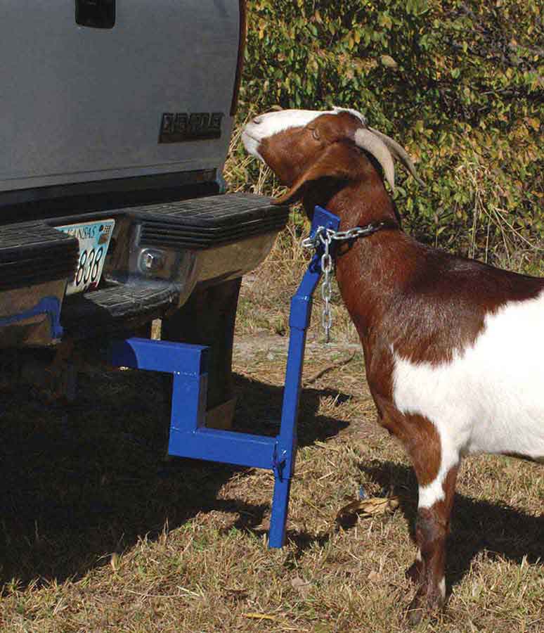Dog Leash 5 ft.Poly Horse Pony Dog Goat