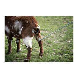 Goat Hook Item # 38607