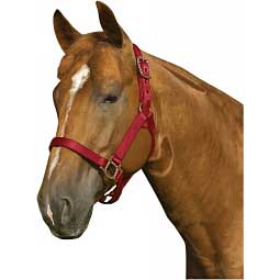 Antique Dot Nylon Horse Halter Item # 39081
