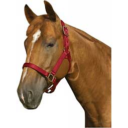 Personalized Antique Dot Horse Halter Item # 39081