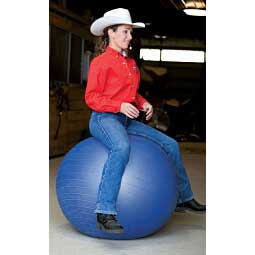 Stacy Westfall Medium Activity Horse Ball Toy Item # 39369