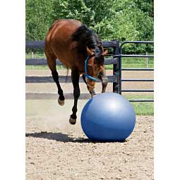 Stacy Westfall Medium Activity Horse Ball Toy Item # 39369