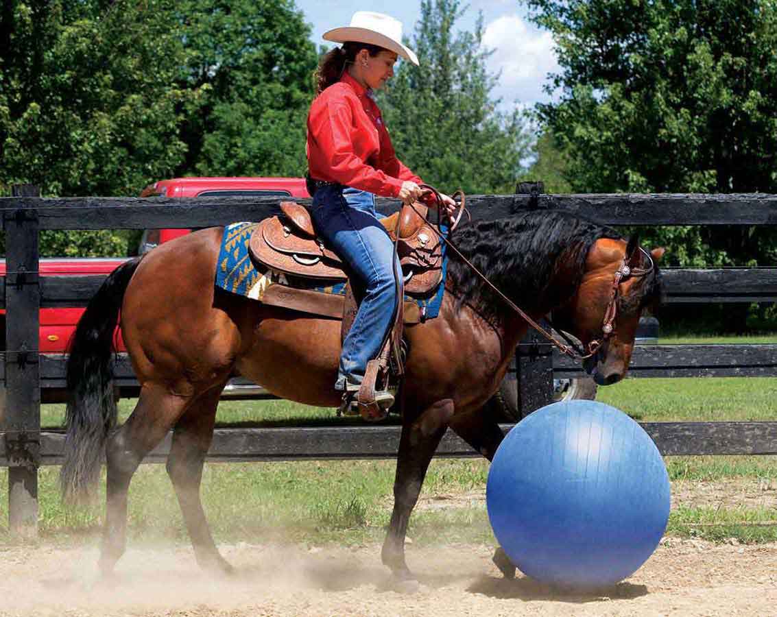 Stacy Westfall Medium Activity Horse Ball Toy Weaver Leather - Training  Accessories