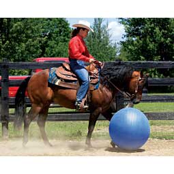 Stacy Westfall Medium Activity Horse Ball Toy Item # 39369