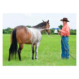 eZall Green Total Equine and Livestock Body Wash Item # 39384
