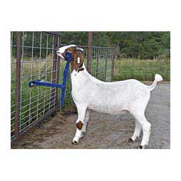EZ Goat Holder Brand May Vary