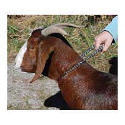 Goat Neck Chain Item # 40254