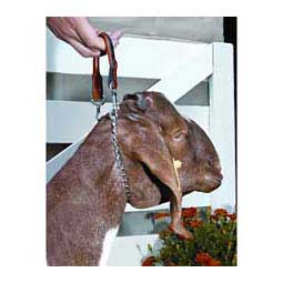 Weaver Leather White Plastic Goat Chain - Medium