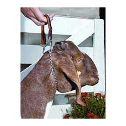 Goat Neck Chain w/ Leather Handle Item # 40255