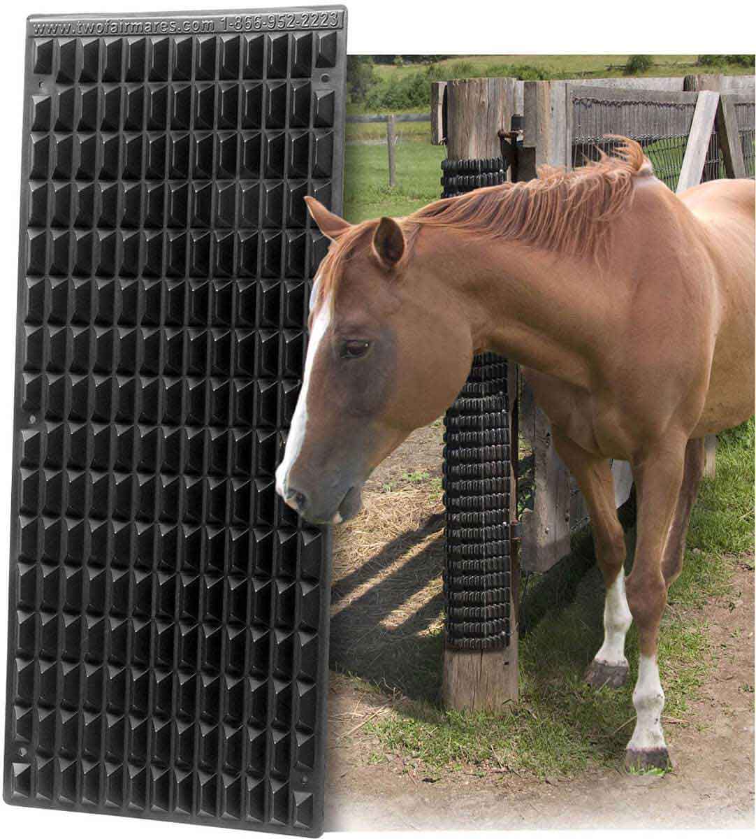 DAVIS Horse Brushes: Equine Scratcher