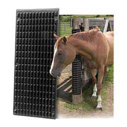 The Equine Scratcher Two Fair Mares