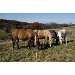 Semi-Permanent Horse Quikfence Item # 40546
