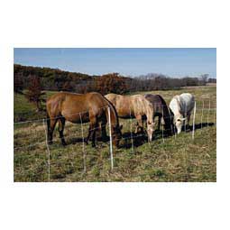 Semi-Permanent Horse Quikfence Item # 40547
