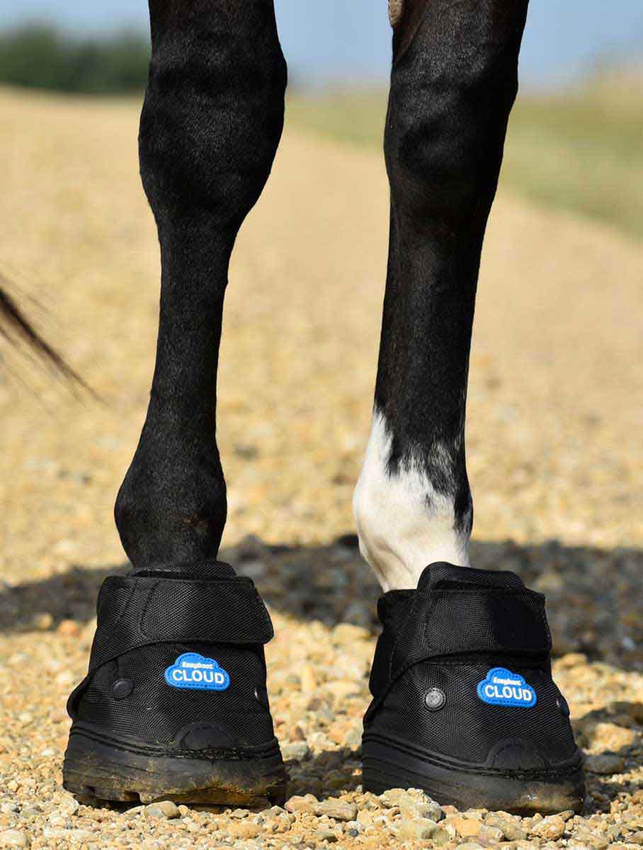 easy cloud hoof boots