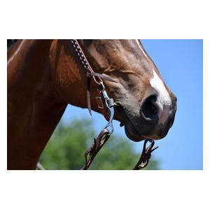 Western 89-6233 Short Shank Horse Bit Item # 41284