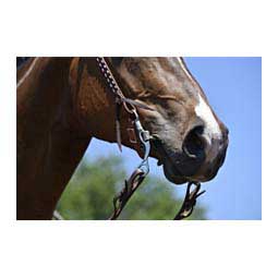 Western 89-6233 Short Shank Horse Bit Item # 41284