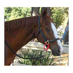 Safe-T-Tie Horse Tie Item # 41667
