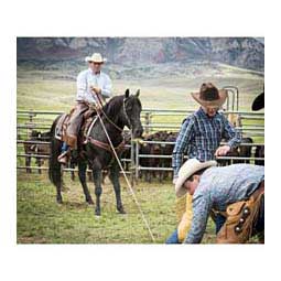 Working Cowboy Roper Horse Breast Collar Item # 41844