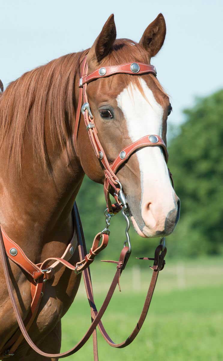 Chestnut Tie Down Weaver Leather Working Training Western Tack Supplies Tack Equine Chestnut Tie Down Weaver Leather Working Training Western Tack Supplies Tack Equine