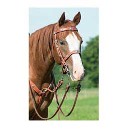 Chestnut Tie Down Item # 41845